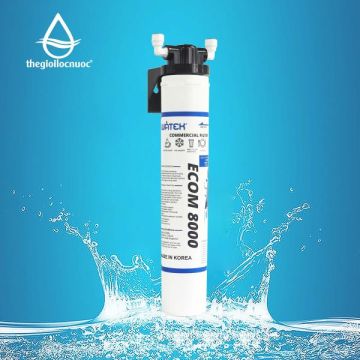 BỘ LỌC NƯỚC THƯƠNG MẠI WATEK ECOM8000